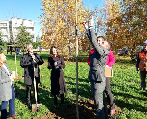 Progetto Forestazione