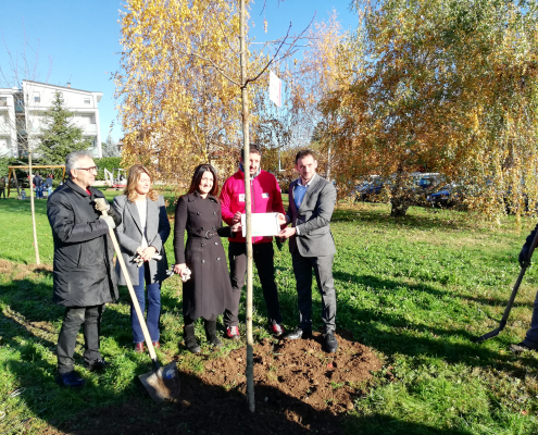Progetto Forestazione