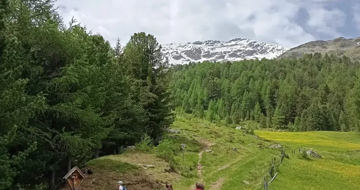 campo estivo