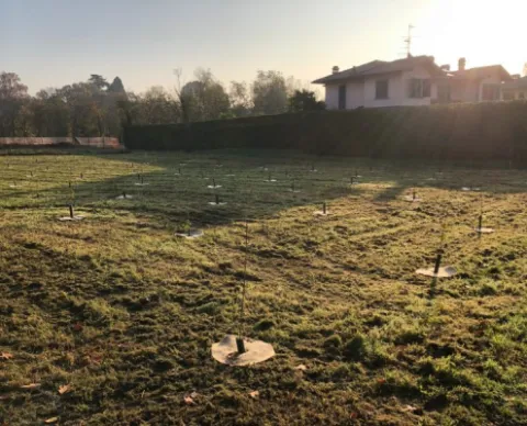 Forestazione Urbana